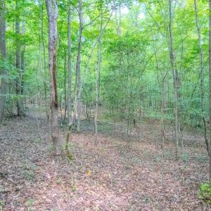 Photo #42 of Off Covered Bridge Rd, Zebulon, NC 58.0 acres