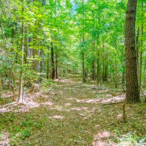 Photo #44 of Off Covered Bridge Rd, Zebulon, NC 58.0 acres