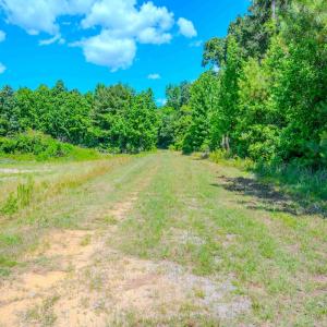 Photo #45 of Off Covered Bridge Rd, Zebulon, NC 58.0 acres