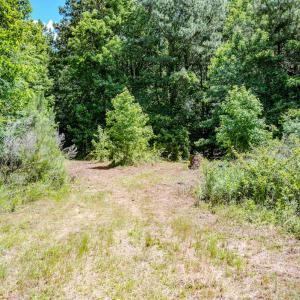 Photo #46 of Off Covered Bridge Rd, Zebulon, NC 58.0 acres