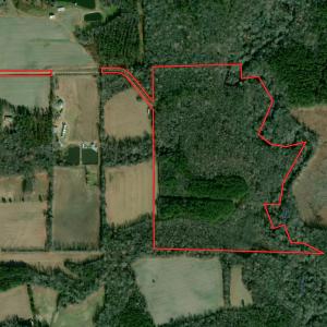 Photo #53 of Off Covered Bridge Rd, Zebulon, NC 58.0 acres