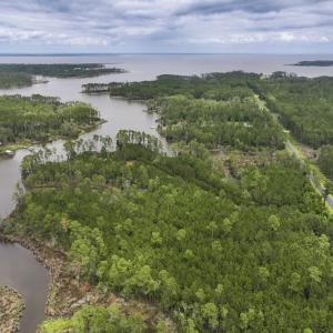 Photo #16 of Off Whealton Point Road, Aurora, NC 5.5 acres