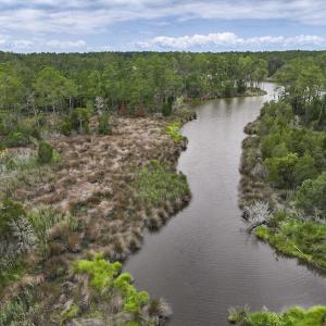 Photo #19 of Off Whealton Point Road, Aurora, NC 5.5 acres