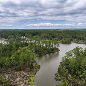 Photo #20 of Off Whealton Point Road, Aurora, NC 5.5 acres