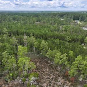 Photo #23 of Off Whealton Point Road, Aurora, NC 5.5 acres