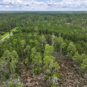 Photo #24 of Off Whealton Point Road, Aurora, NC 5.5 acres