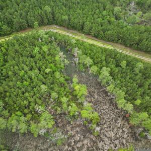 Photo #25 of Off Whealton Point Road, Aurora, NC 5.5 acres