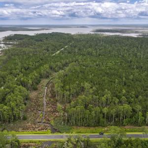 Photo #33 of Off Whealton Point Road, Aurora, NC 5.5 acres