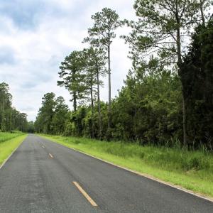 Photo #40 of Off Whealton Point Road, Aurora, NC 5.5 acres