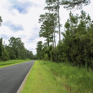 Photo #41 of Off Whealton Point Road, Aurora, NC 5.5 acres
