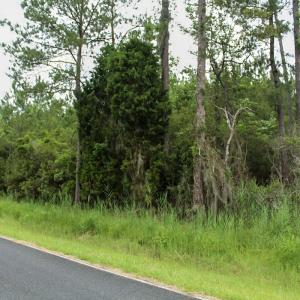Photo #42 of Off Whealton Point Road, Aurora, NC 5.5 acres