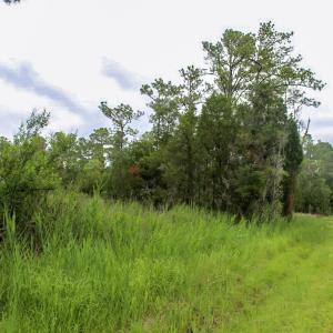 Photo #44 of Off Whealton Point Road, Aurora, NC 5.5 acres