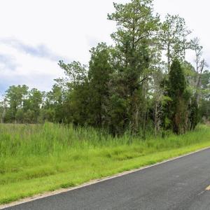 Photo #45 of Off Whealton Point Road, Aurora, NC 5.5 acres