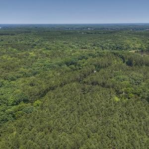 Photo #11 of Off Gordon Lane, Macon, NC 1.0 acres