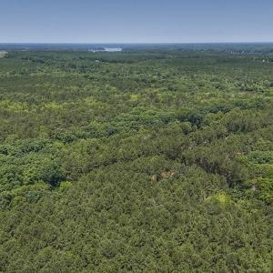 Photo #12 of Off Gordon Lane, Macon, NC 1.0 acres