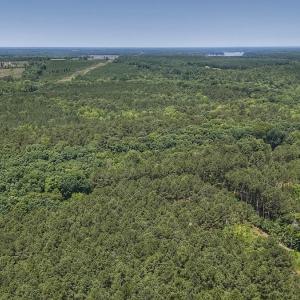 Photo #13 of Off Gordon Lane, Macon, NC 1.0 acres
