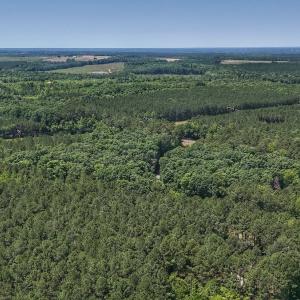 Photo #15 of Off Gordon Lane, Macon, NC 1.0 acres