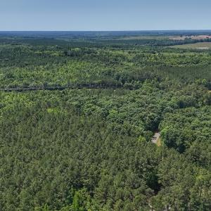 Photo #16 of Off Gordon Lane, Macon, NC 1.0 acres