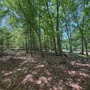 Photo #23 of Off Gordon Lane, Macon, NC 1.0 acres