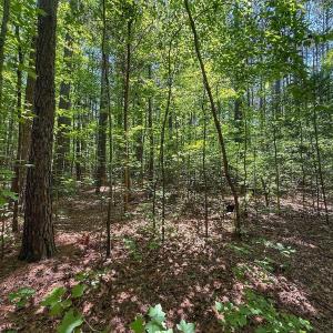Photo #24 of Off Gordon Lane, Macon, NC 1.0 acres
