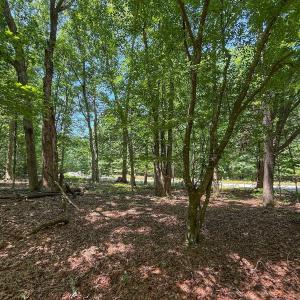 Photo #26 of Off Gordon Lane, Macon, NC 1.0 acres