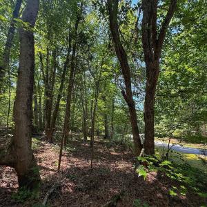 Photo #29 of Off Gordon Lane, Macon, NC 1.0 acres