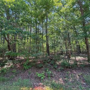 Photo #30 of Off Gordon Lane, Macon, NC 1.0 acres