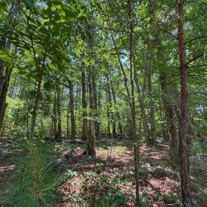 Photo #32 of Off Gordon Lane, Macon, NC 1.0 acres