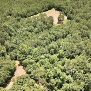 Photo #10 of Off Highway 306, Grantsboro, NC 704.0 acres