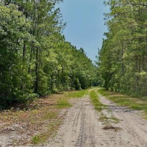 Photo #11 of Off Highway 306, Grantsboro, NC 704.0 acres