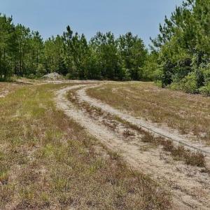 Photo #12 of Off Highway 306, Grantsboro, NC 704.0 acres