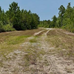 Photo #13 of Off Highway 306, Grantsboro, NC 704.0 acres
