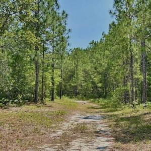 Photo #14 of Off Highway 306, Grantsboro, NC 704.0 acres