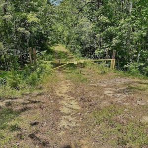 Photo #15 of Off Highway 306, Grantsboro, NC 704.0 acres