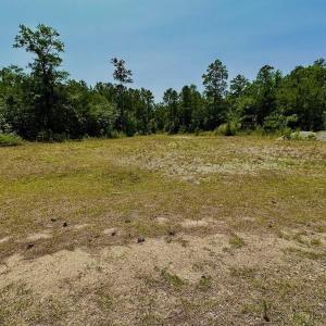Photo #16 of Off Highway 306, Grantsboro, NC 704.0 acres