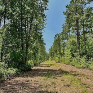 Photo #17 of Off Highway 306, Grantsboro, NC 704.0 acres
