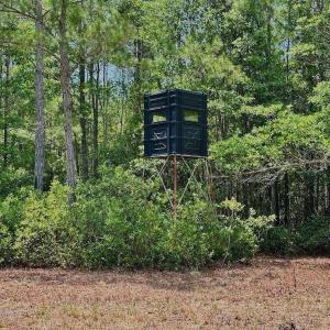 Photo #19 of Off Highway 306, Grantsboro, NC 704.0 acres