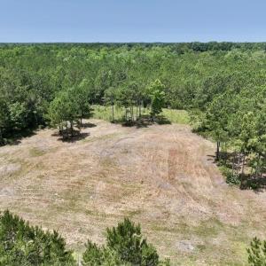 Photo #1 of Off Highway 306, Grantsboro, NC 704.0 acres