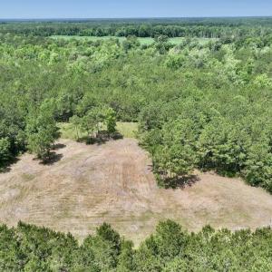 Photo #2 of Off Highway 306, Grantsboro, NC 704.0 acres