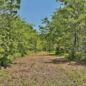 Photo #20 of Off Highway 306, Grantsboro, NC 704.0 acres