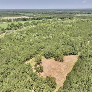 Photo #3 of Off Highway 306, Grantsboro, NC 704.0 acres