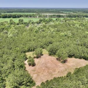 Photo #4 of Off Highway 306, Grantsboro, NC 704.0 acres