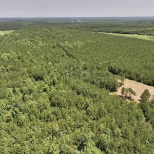 Photo #5 of Off Highway 306, Grantsboro, NC 704.0 acres