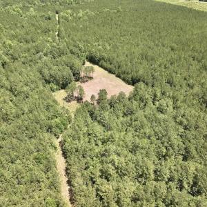 Photo #6 of Off Highway 306, Grantsboro, NC 704.0 acres