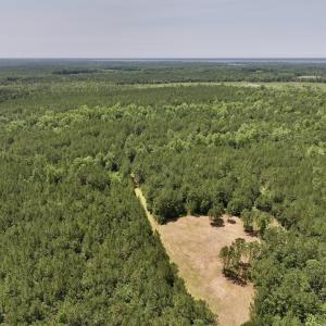 Photo #7 of Off Highway 306, Grantsboro, NC 704.0 acres