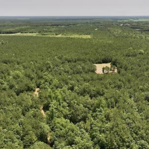 Photo #8 of Off Highway 306, Grantsboro, NC 704.0 acres