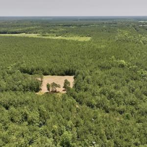Photo #9 of Off Highway 306, Grantsboro, NC 704.0 acres