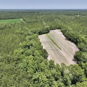 Photo #21 of Off Highway 306, Grantsboro, NC 704.0 acres