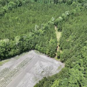 Photo #22 of Off Highway 306, Grantsboro, NC 704.0 acres