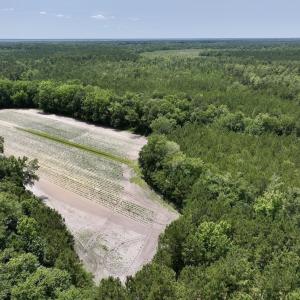 Photo #23 of Off Highway 306, Grantsboro, NC 704.0 acres